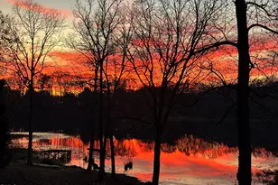 310 Cameron Dr, Raleigh, NC 27603 - Photo 37