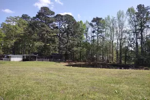 4319 Pearces Rd, Zebulon, NC 27597 - Photo 11