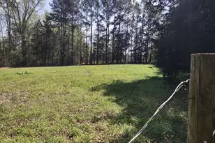 4319 Pearces Rd, Zebulon, NC 27597 - Photo 9