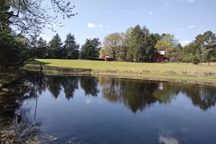 4319 Pearces Rd, Zebulon, NC 27597 - Photo 7