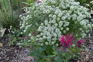 1326 Stonewall St, Burlington, NC 27217 - Photo 25