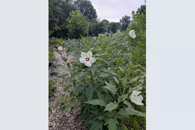 1326 Stonewall Street, Burlington, NC 27217 - Photo 27