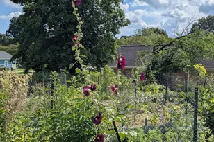 1326 Stonewall St, Burlington, NC 27217 - Photo 23