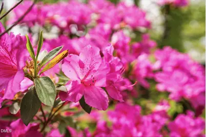 3910 Plymouth Road, Durham, NC 27707 - Photo 77