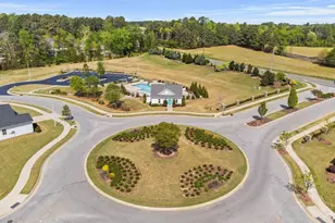 124 Willow Grove Ln, Fuquay Varina, NC 27526 - Photo 49