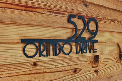 529 Orindo Drive, Durham, NC 27713 - Photo 3