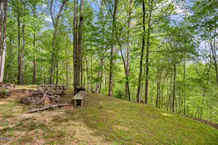 31 Mt Bolus Rd, Chapel Hill, NC 27514 - Photo 63