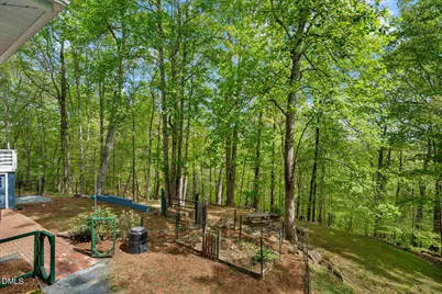 31 Mount Bolus Road, Chapel Hill, NC 27514 - Photo 61