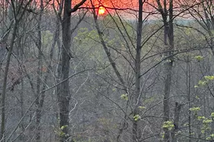 31 Mt Bolus Rd, Chapel Hill, NC 27514 - Photo 69