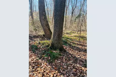 1000 Cross Link Road, Raleigh, NC 27610 - Photo 17