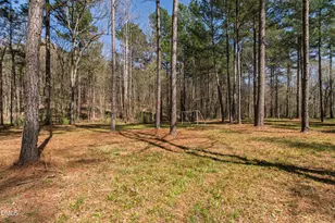 140 Blufftonwood Dr, Pittsboro, NC 27312 - Photo 67