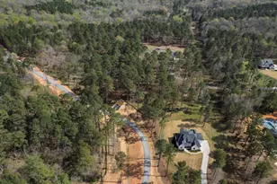 140 Blufftonwood Dr, Pittsboro, NC 27312 - Photo 83