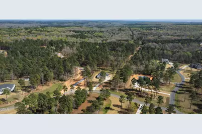 140 Blufftonwood Drive, Pittsboro, NC 27312 - Photo 85