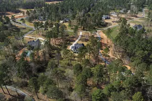 140 Blufftonwood Dr, Pittsboro, NC 27312 - Photo 79