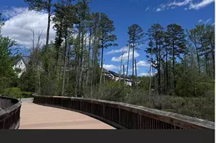 311 Castle Rock Ln, Cary, NC 27519 - Photo 49