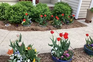 101 Pinecrest Rd, Durham, NC 27705 - Photo 17