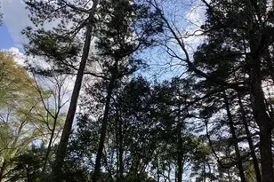 101 Pinecrest Rd, Durham, NC 27705 - Photo 27