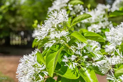 1902 White Plains Road, Chapel Hill, NC 27517 - Photo 53