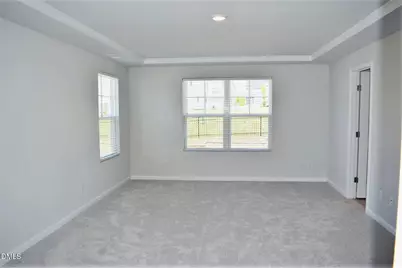 1184 Pate Farm Lane, Durham, NC 27703 - Photo 23