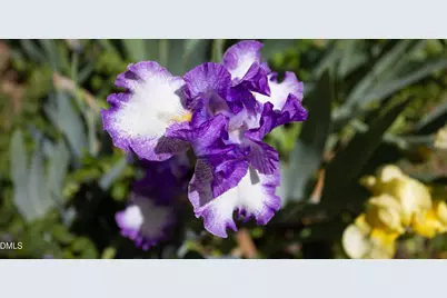 3409 Pickett Road, Durham, NC 27705 - Photo 33