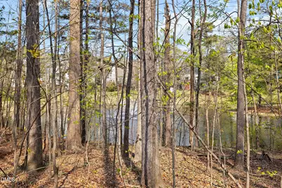 402 Sherwood Forest Place, Cary, NC 27519 - Photo 49