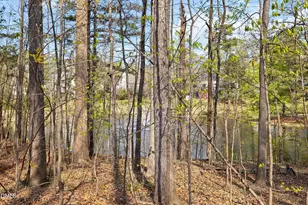 402 Sherwood Forest Pl, Cary, NC 27519 - Photo 49