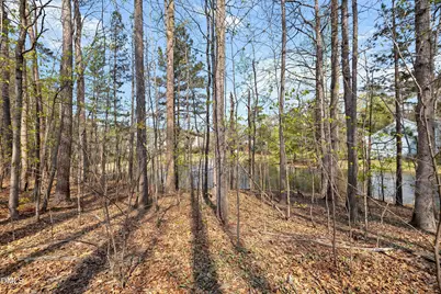 402 Sherwood Forest Place, Cary, NC 27519 - Photo 51