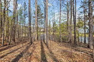 402 Sherwood Forest Pl, Cary, NC 27519 - Photo 51