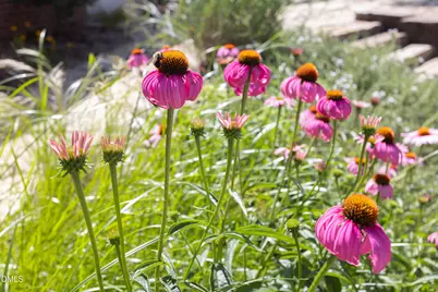 2502 Sevier Street, Durham, NC 27705 - Photo 63