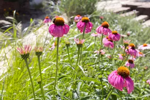 2502 Sevier St, Durham, NC 27705 - Photo 63