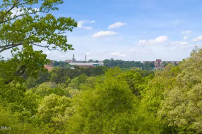 101 Quarry Place, Chapel Hill, NC 27517 - Photo 73