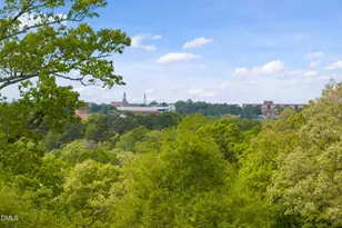 101 Quarry Pl, Chapel Hill, NC 27517 - Photo 73