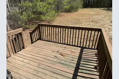 313 Opal Lane, Clayton, NC 27520 - Photo 13