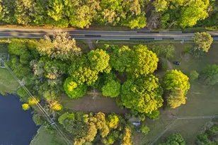 718 Jones Ferry Rd, Chapel Hill, NC 27516 - Photo 5