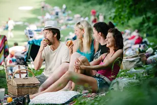 2224 Warbler Dr, Apex, NC 27539 - Photo 19