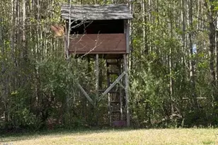 721 General Green Rd, Kittrell, NC 27544 - Photo 35