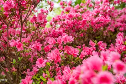 107 Pine Lane, Chapel Hill, NC 27514 - Photo 67