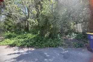 1705 Wind Sound Wy, Siler City, NC 27344 - Photo 1