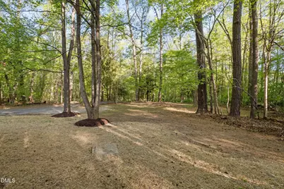 641 Ethel Christine Way, Chapel Hill, NC 27516 - Photo 31