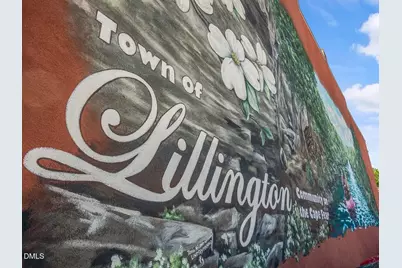 163 Thomas Trail, Lillington, NC 27546 - Photo 15