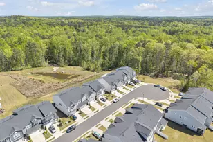 43 Balfour Run, Chapel Hill, NC 27516 - Photo 3