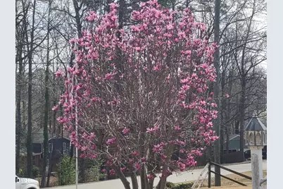 204 Kirvin Court, Knightdale, NC 27545 - Photo 9