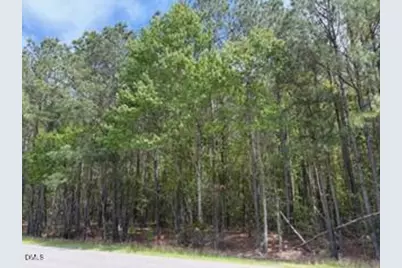6901 US Hwy 701 S, Four Oaks, NC 27524 - Photo 7