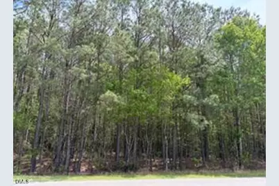 6901 US Hwy 701 S, Four Oaks, NC 27524 - Photo 9