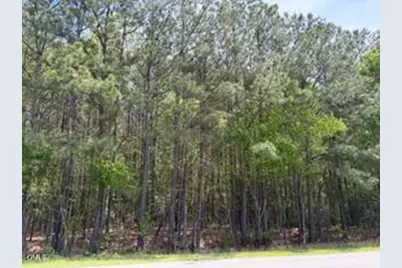 6901 US Hwy 701 S, Four Oaks, NC 27524 - Photo 3