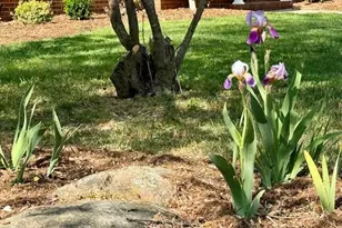 319 Reade Dr, Roxboro, NC 27573 - Photo 5