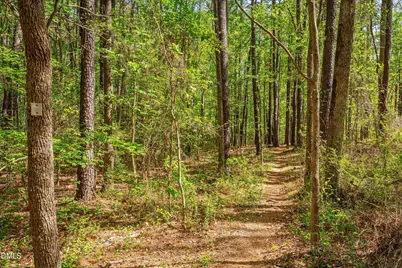 771 Smith Level Road, Chapel Hill, NC 27516 - Photo 79