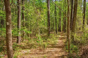 771 Smith Level Rd, Chapel Hill, NC 27516 - Photo 79