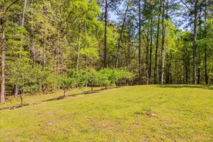 771 Smith Level Rd, Chapel Hill, NC 27516 - Photo 77