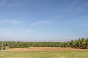 558 Chapel Ridge Dr, Pittsboro, NC 27312 - Photo 45